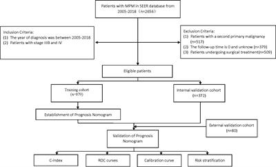 Establishment and validation of nomograms to predict survival probability of advanced malignant pleural mesothelioma based on the SEER database and a Chinese medical institution